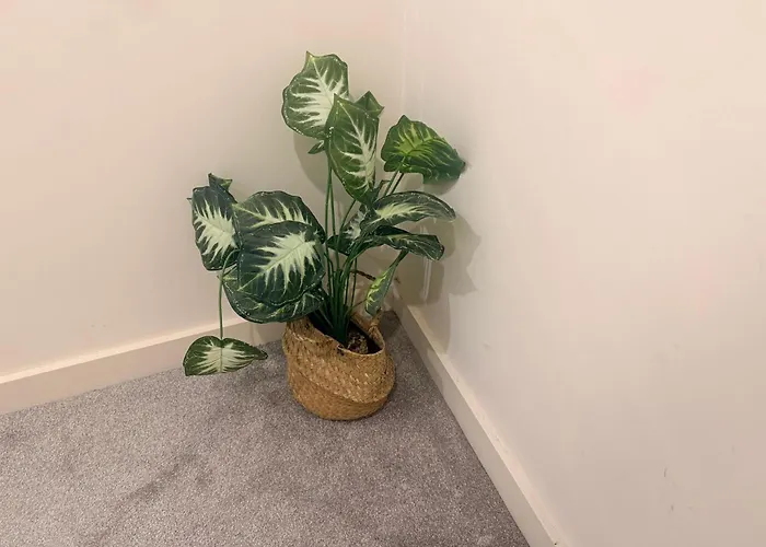 Longstay Family Contractor, Wi-fi, Discounts *