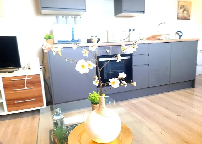 Apartment Longstay Family Contractor, Wi-fi, Discounts