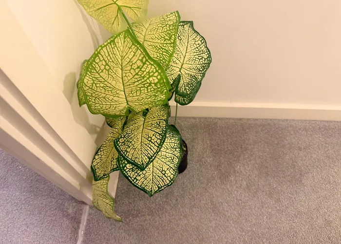 Longstay Family Contractor, Wi-fi, Discounts Appartamento Bradford (West Yorkshire)